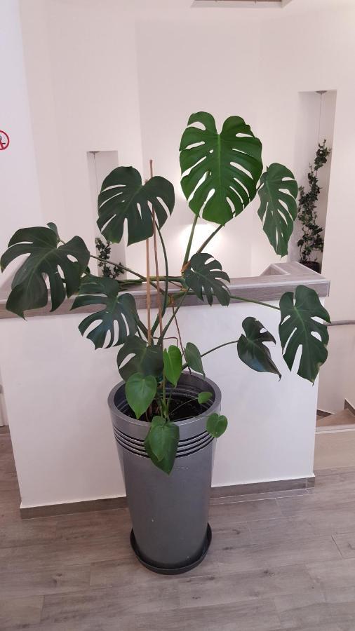 Centar Vodice Apartmani Exterior foto